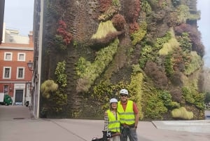 Hela Madrid: Privat elcykeltur runt staden