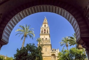 Andalusia and Barcelona 7-Day Package Tour From Madrid