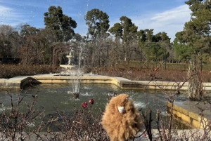 Madrid aristocrático: tour privado de un día