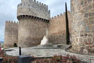 Avila ja Segovia: Avila: Yksityinen minibussikierros Madridista