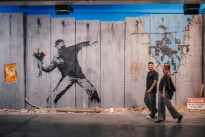 Banksy Museum Madrid: Inträdesbiljett