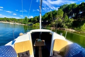 Boat ride ⛵️ on the San Juan marsh, Madrid