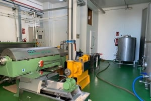 Посещение мельницы по производству оливкового масла и дегустация масла с аперитивом и блюдами и вином на пару