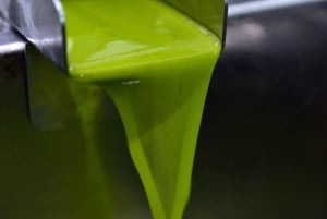 Посещение мельницы по производству оливкового масла и дегустация масла с аперитивом и блюдами и вином на пару