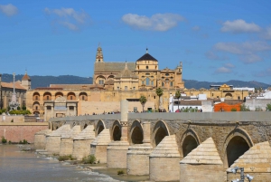 Cities of Andalusia 4-Day Tour from Madrid