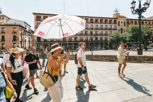 De Madri: Viagem guiada de 1 dia a Toledo de ônibus