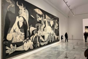 Madrid Cultural: Museo Reina Sofía y tour a pie