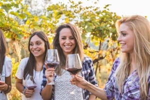 Eksklusiv vingårdstur og smaking i Golden Mile