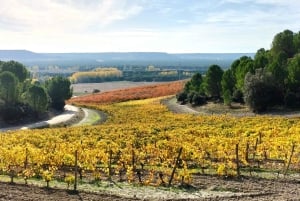 Эксклюзивный тур по винодельне и дегустация на Золотой Миле