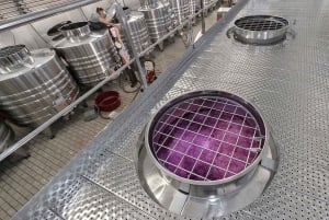 Tour exclusivo pela vinícola e degustação na Golden Mile