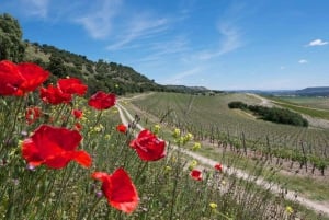 Tour exclusivo pela vinícola e degustação na Golden Mile