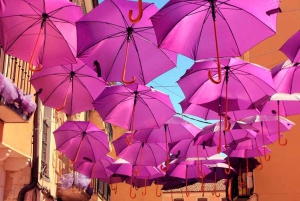 Из Мадрида: однодневная поездка на лавандовые поля Бриуэга