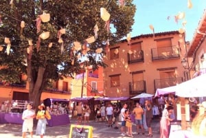 Из Мадрида: однодневная поездка на лавандовые поля Бриуэга