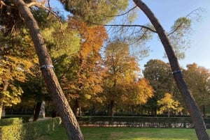 Kuntokierros Madridin Retiro-puistossa