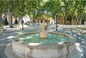 Gratis rundvisning i Alcalá de Henares – Verdensarvsby