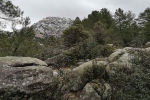 Desde Centro: Excursión Privada al Parque Nacional de Guadarrama