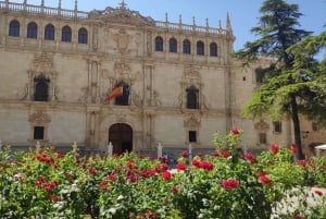 From Madrid: Alcalá de Henares & Cervantes Museum Day Trip