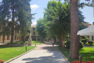 From Madrid: Alcalá de Henares & Cervantes Museum Day Trip