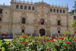 De excursão de um dia a Alcalá de Henares e Museu Cervantes