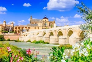De Madrid: Andaluzia e Toledo - Viagem de 1 dia