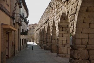 Desde Madrid: Excursión privada de un día a Ávila y Segovia