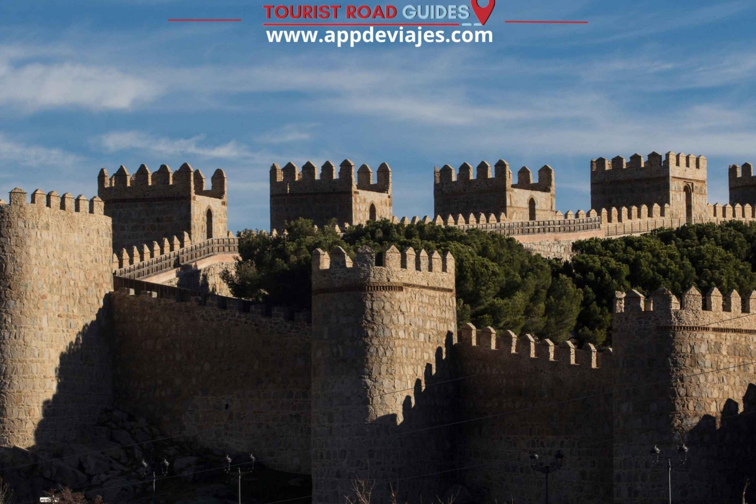 From Madrid: Tour Private Ávila with Bulls, Bees and Castles