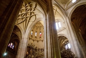 Madrid: Avila med mure og Segovia med Alcazar