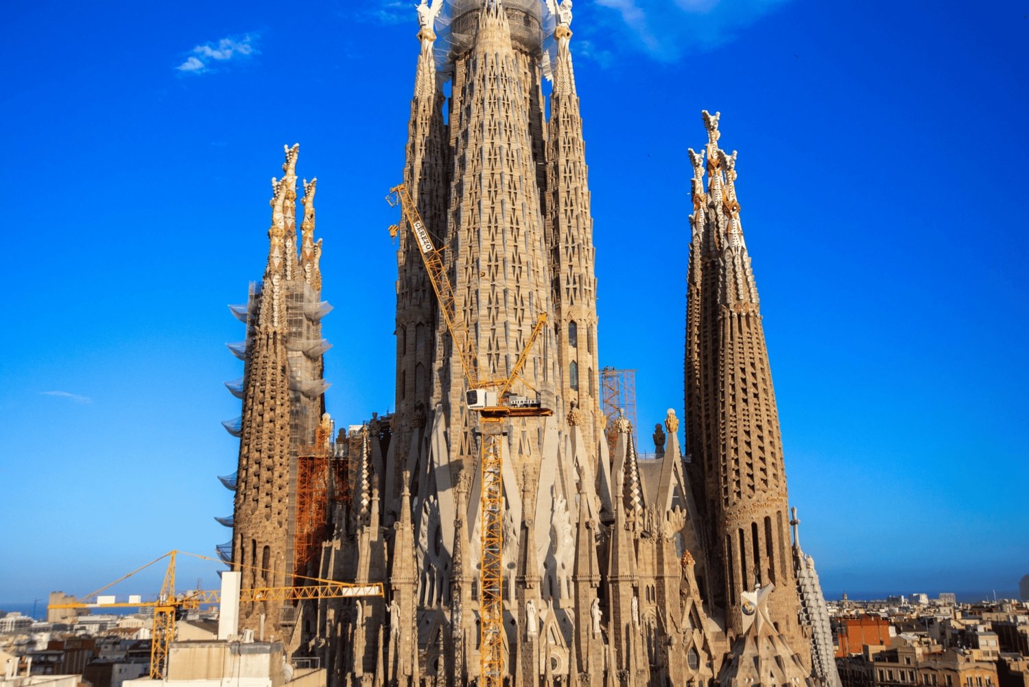 From Madrid: Barcelona Day Trip with Sagrada Família