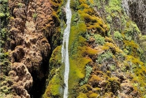 Z Madrytu: wycieczka do Cuency i pól lawendy w Brihuegi