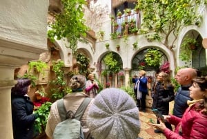 マドリードから高速列車で行くコルドバとモスクの日帰り旅行