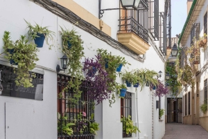 De Madrid: Córdoba e Sevilha - Excursão de 3 dias