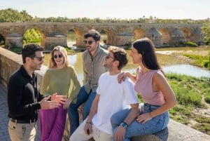 Fra Madrid: Dagstur til Córdoba med tog