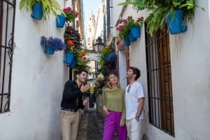 Fra Madrid: Dagstur til Córdoba med tog