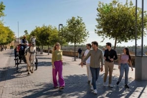 Fra Madrid: Dagstur til Córdoba med tog