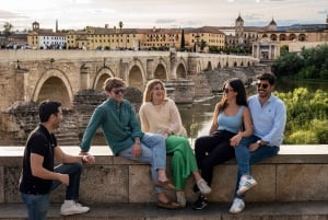 Fra Madrid: Dagstur til Córdoba med tog