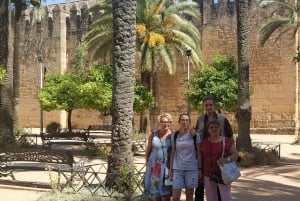 From Madrid: Cordoba Day Trip by High-Speed Train