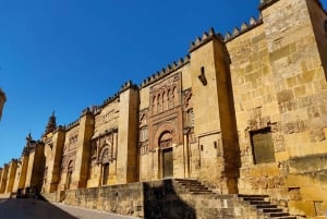 From Madrid: Cordoba Day Trip by High-Speed Train