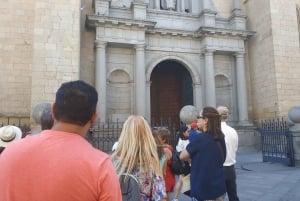 Desde Madrid: Excursión de un día a Toledo y Segovia