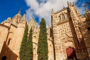 Vanuit Madrid: Dagtrip naar Ávila en Salamanca met rondleiding