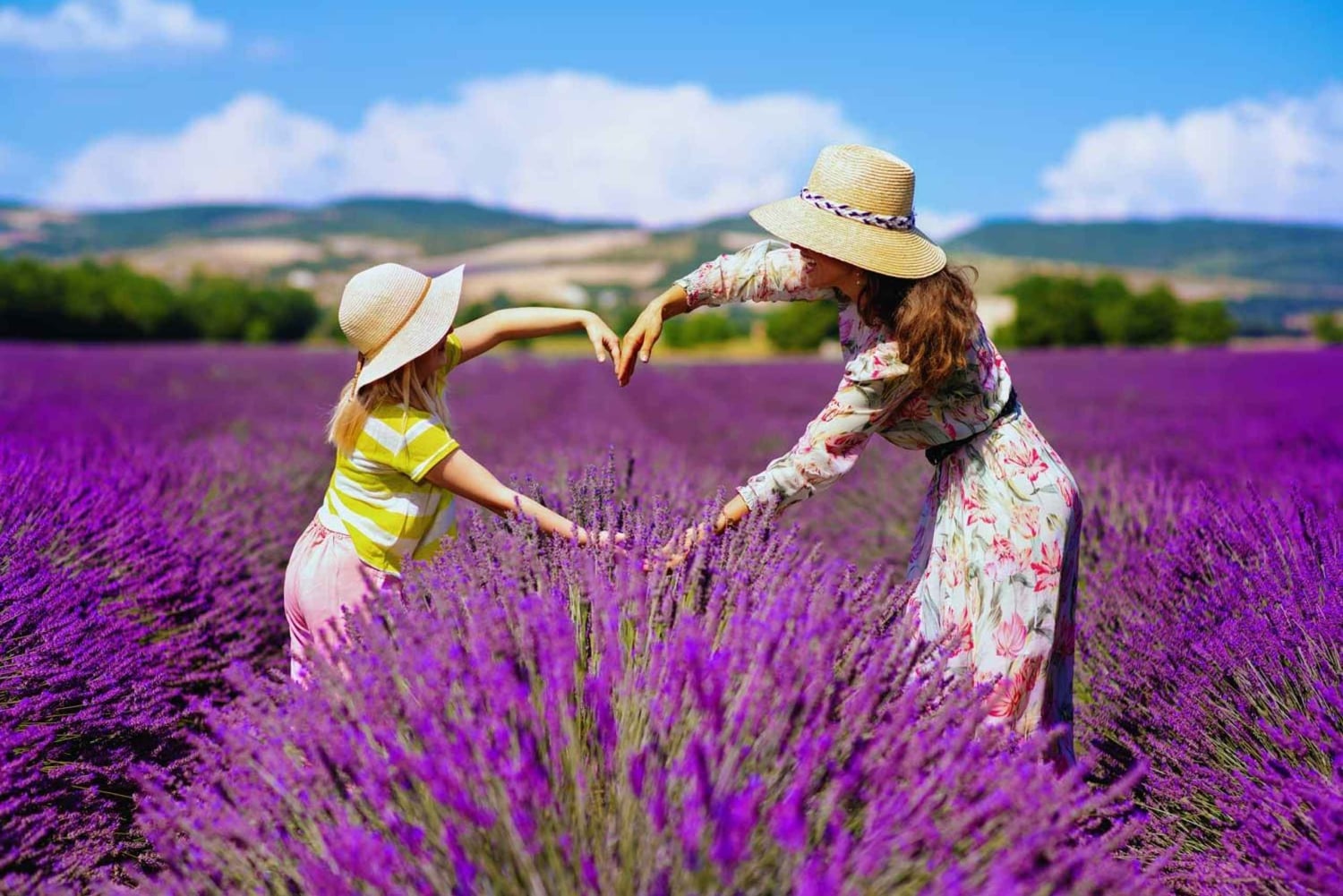 Vanuit Madrid: dagtrip naar de lavendelvelden van Brihuega