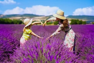 Vanuit Madrid: dagtrip naar de lavendelvelden van Brihuega