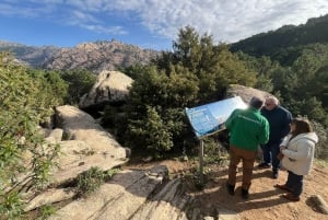 From Madrid: Day Trip to Guadarrama National Park