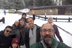 From Madrid: Day Trip to Guadarrama National Park