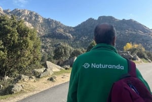 From Madrid: Day Trip to Guadarrama National Park