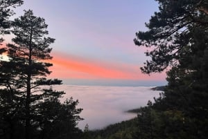 From Madrid: Day Trip to Guadarrama National Park