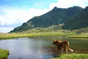From Madrid: Day Trip to Guadarrama National Park