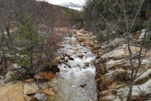 From Madrid: Day Trip to Guadarrama National Park