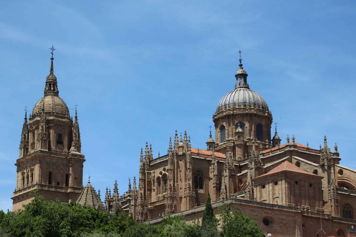 From Madrid: Day Trip to Salamanca with Private Tour