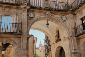 From Madrid: Day Trip to Salamanca with Private Tour