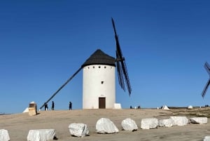 Madrid: Don Quixote de la Mancha Windmills & Toledo Tour